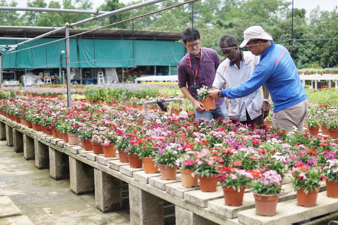 Team of workers caring for flowers in Changi Airport’s nursery